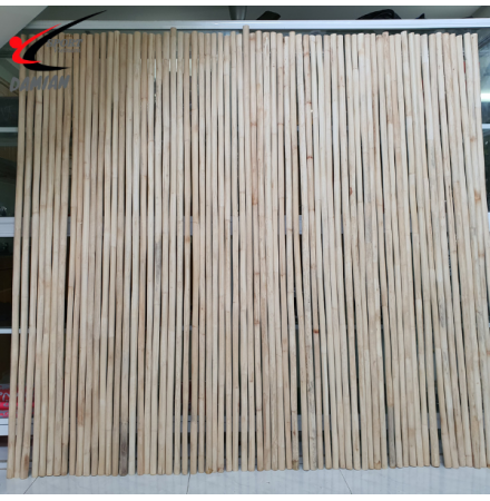 Trường Côn Mây, Gậy Mây ( cây )