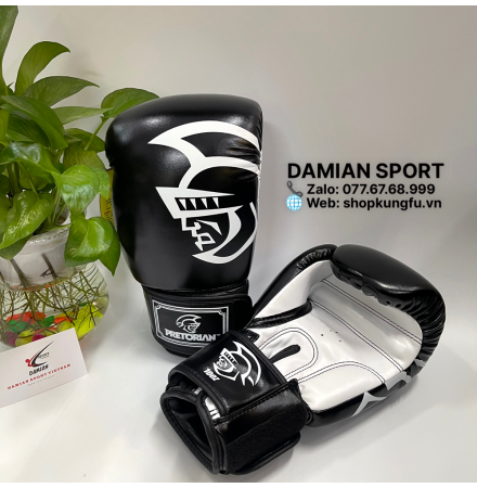 Găng tay Boxing Pretorian Classic - Đen ( cặp )